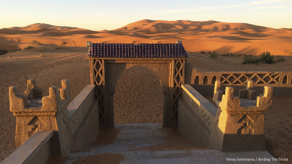 Our charming hotel in Merzouga during our Birding Morocco Trip; you can see the sand dunes of Erg Chebbi in the background - by Yeray Seminario