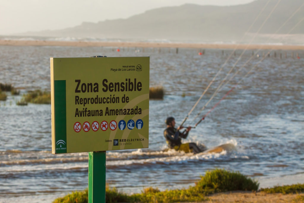 Kitesurf ilegal en el Paraje Natural de Los Lances. Fotografía de Yeray Seminario, Birding The Strait.