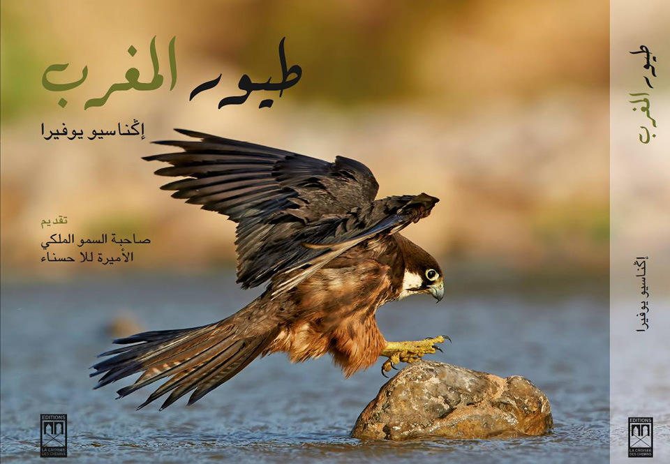 Cover of Birds of Morocco in Arabic