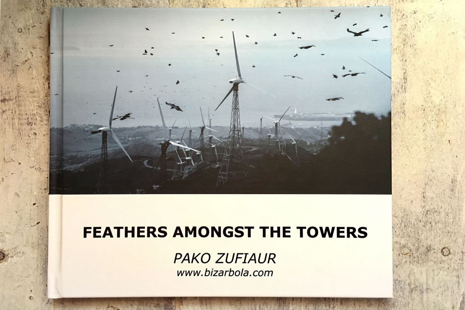 Front cover of the new Photography book by Pako Zufiaur: Feathers Amongst The Towers
