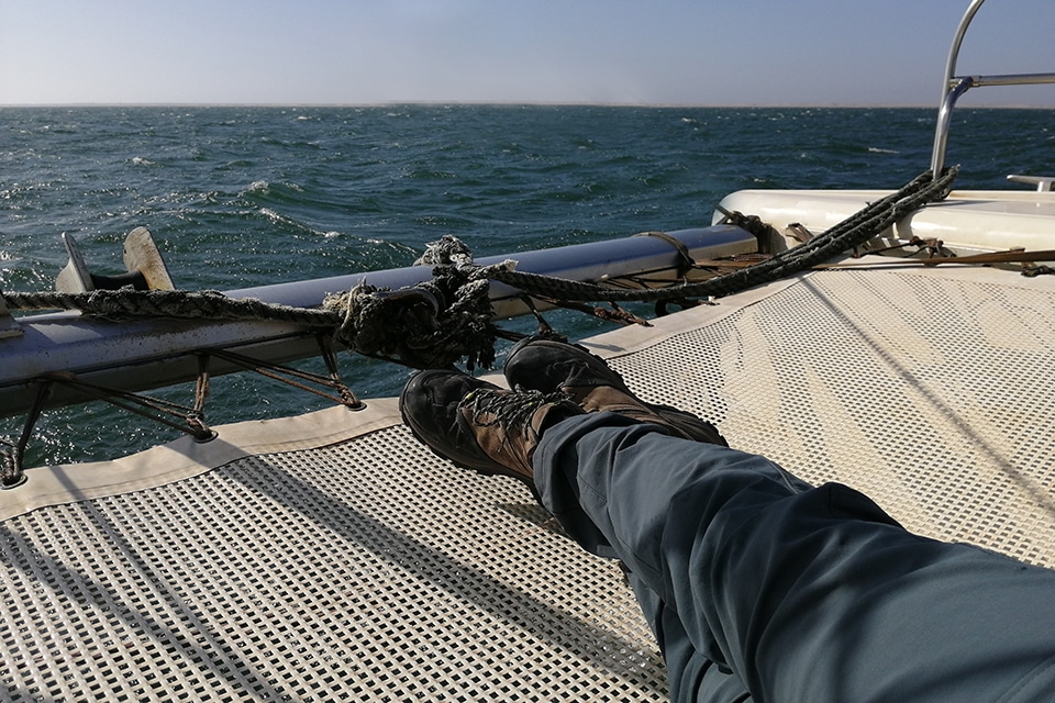 Sailing off Dakhla - Birding The Strait