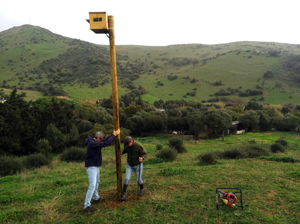 Nest box for Barn Owl. Birding The Strait.