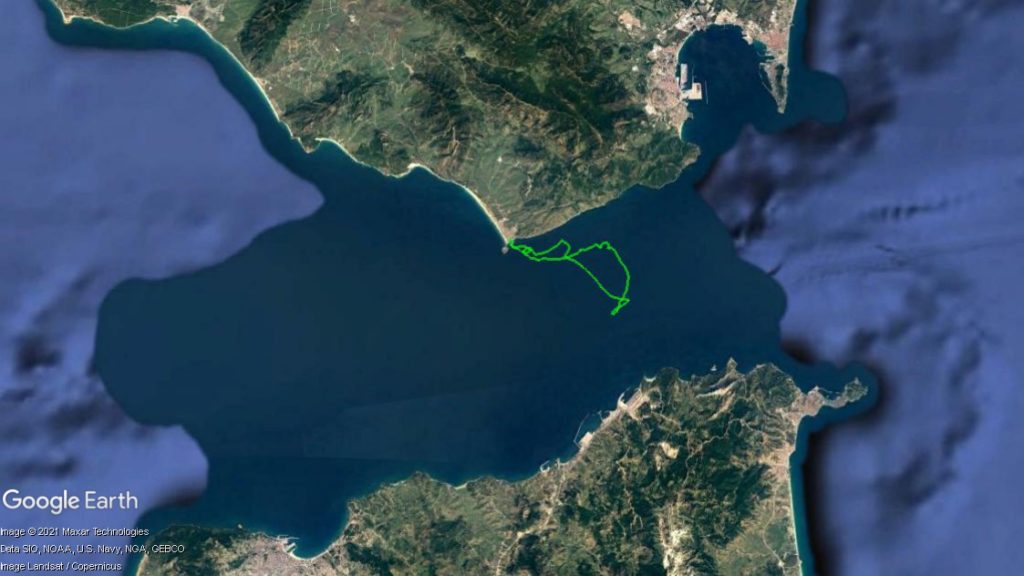 Pelagic Birding in Tarifa.
